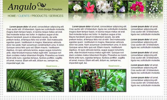 Web2 Flowers Template